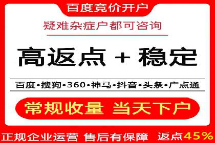 行业领先企业的SEM代理案例剖析